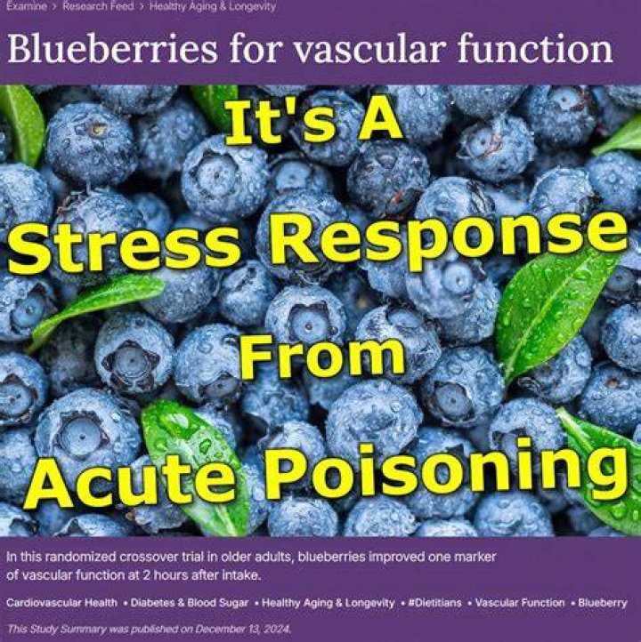 Are blueberries toxic?