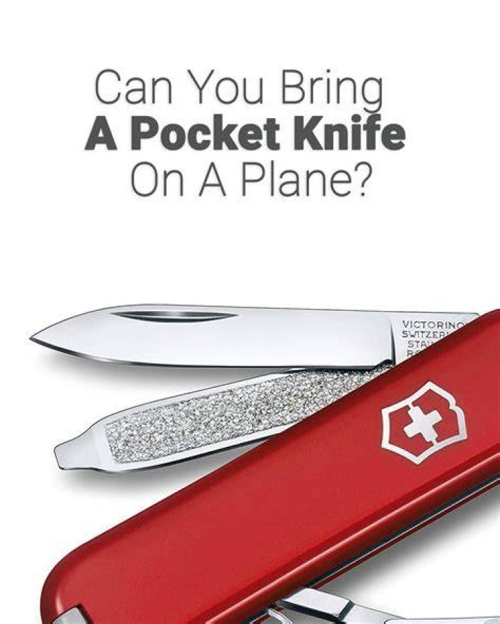 Can you take a pocket knife to Disney?