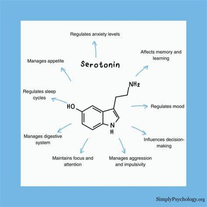 Does anxiety deplete serotonin?