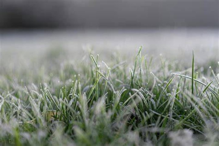 Is it too cold to fertilize lawn?