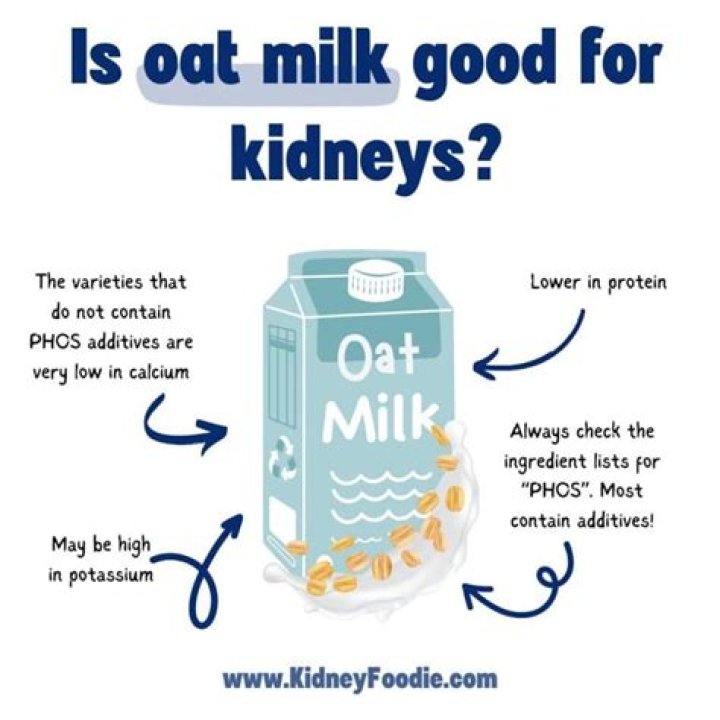Is oat milk good for kidneys?