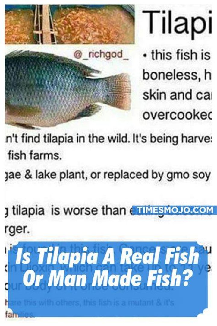Is tilapia a real fish or man made?