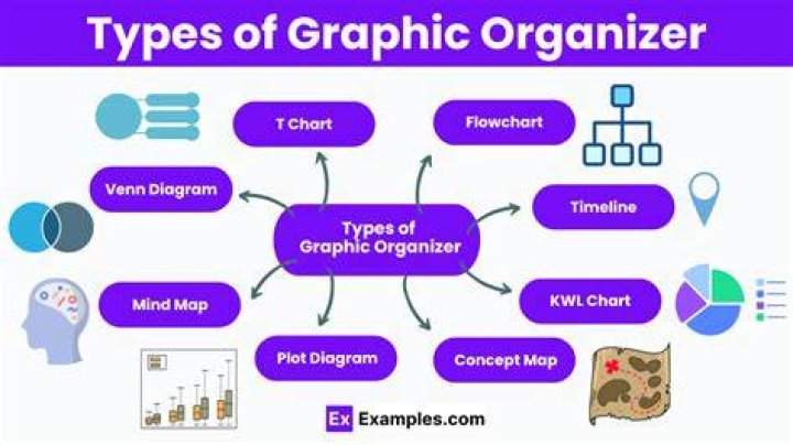 What are the types of graphic organizer?
