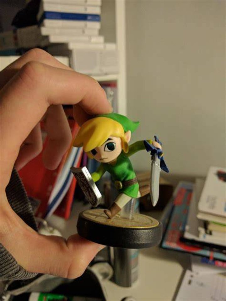 What does Toon link give you in Botw?