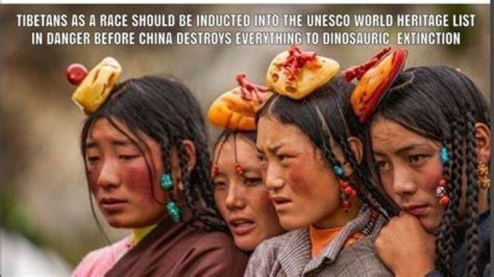 What race are Tibetans?