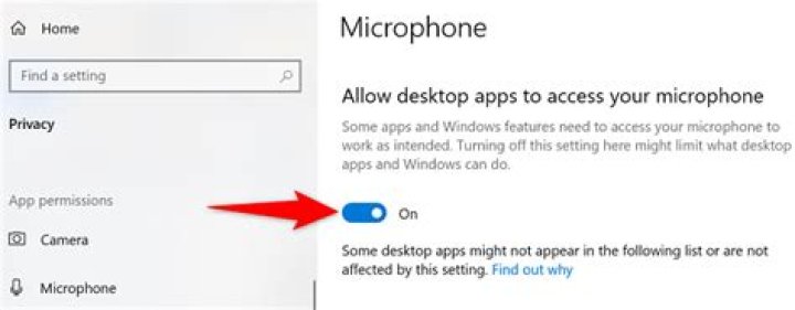 Why is there a microphone at the top of my screen?